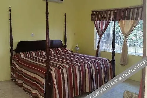 Hotel Chateau De La Rose Bed And Breakfast Montego Bay
