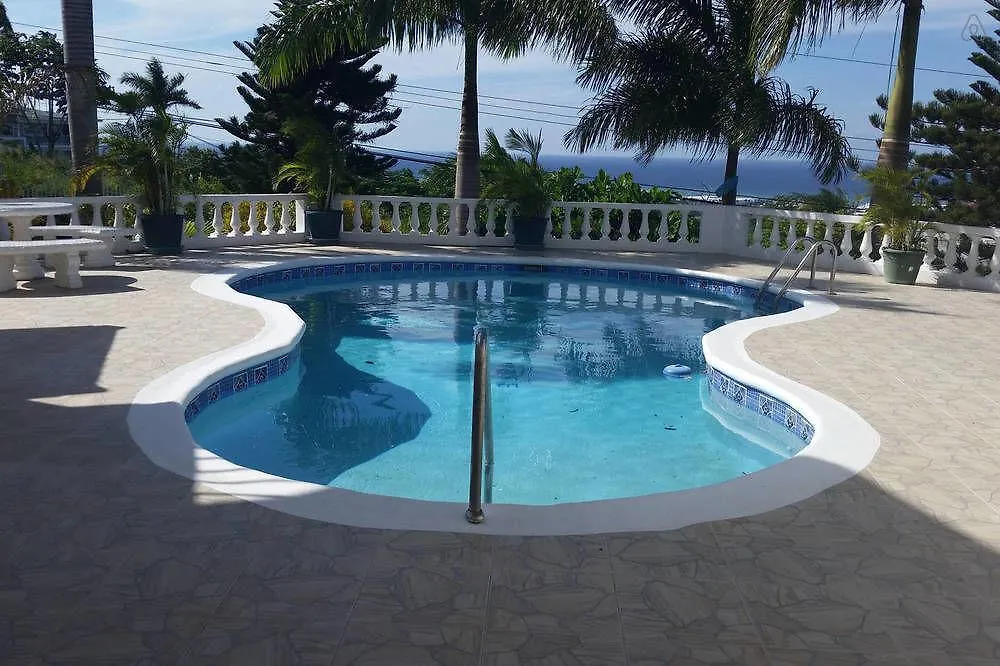 Chateau De La Rose Bed And Breakfast Montego Bay 3*,